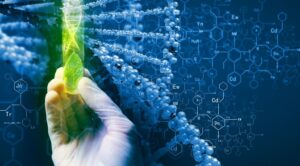 Biotechnology and Bioinformatics: The Synergy of Science and Technology in Advancing Life Sciences