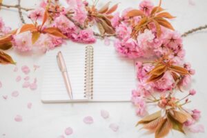 Using AI to Plan Content Topics for a Niche Site
