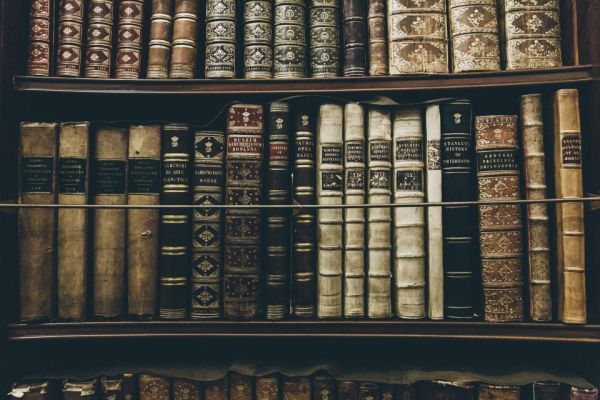 Safe AI Use for Freelance Writers
